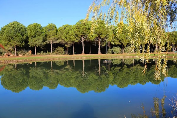 Botanik Parkı