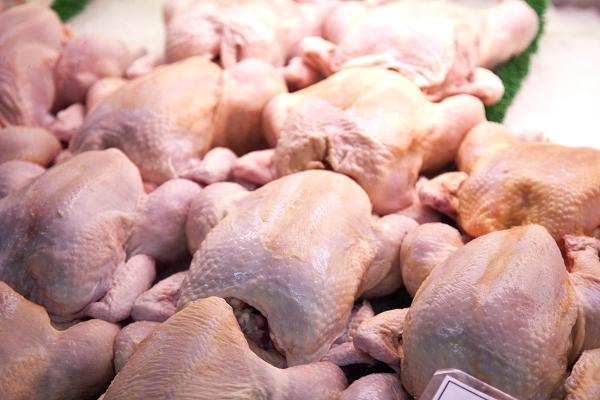 تركيا تبدأ بتصدير الدجاج إلى اليابان