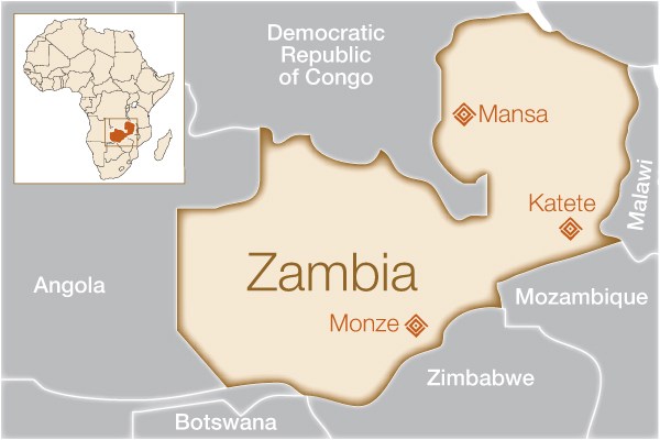 تركيا تزود زامبيا بمستلزمات طبية لمكافحة مرض الكوليرا